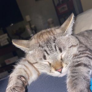 Meet your Posher, Ami